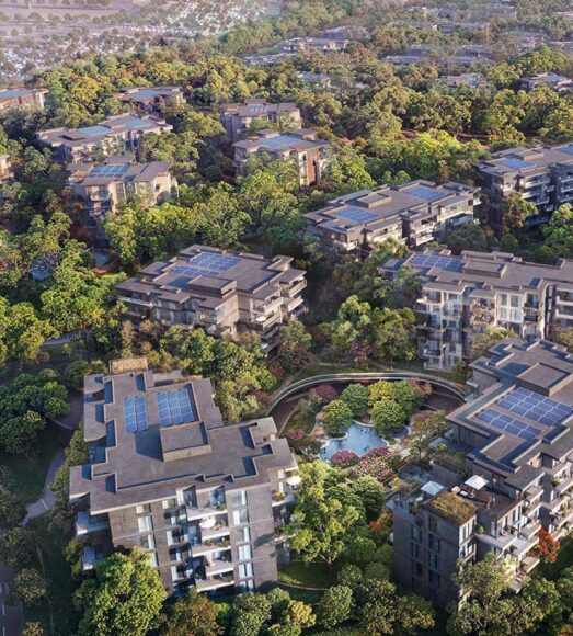 Ghaf-Wood-Dubailand-09