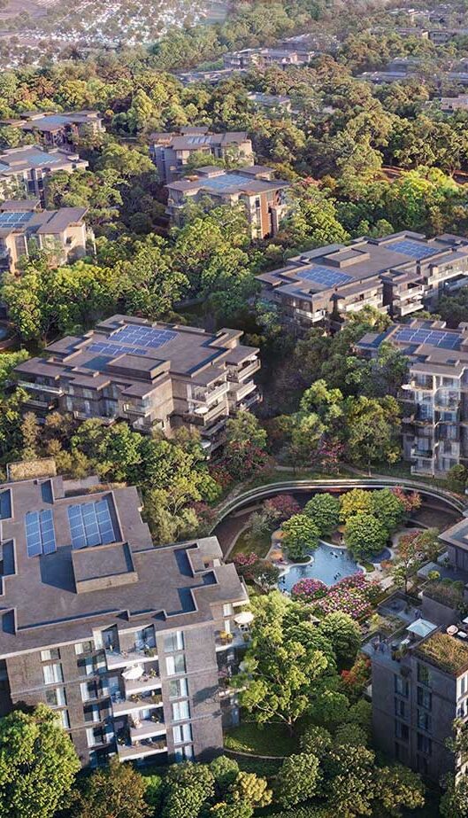 Ghaf-Wood-Dubailand-09