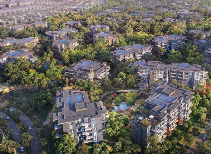 Ghaf-Wood-Dubailand-09