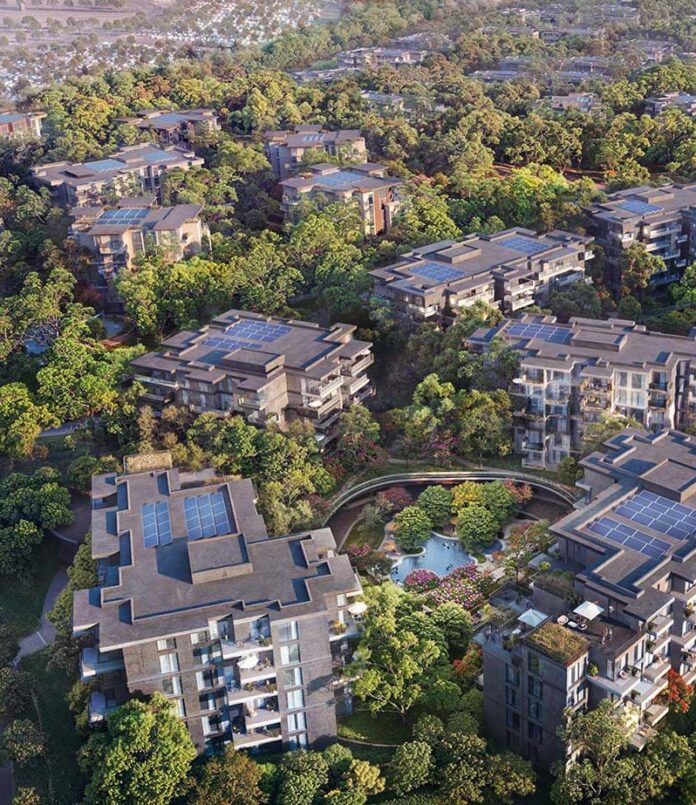 Ghaf-Wood-Dubailand-09